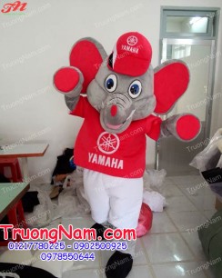 BẢO QUẢN MASCOT