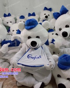 Mascot Gấu Comfor-HH003