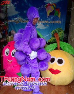 MASCOT Trái Cây Thanh Long-Nho-Cam MASCOT Trái Cây Thanh Long-Nho-Cam